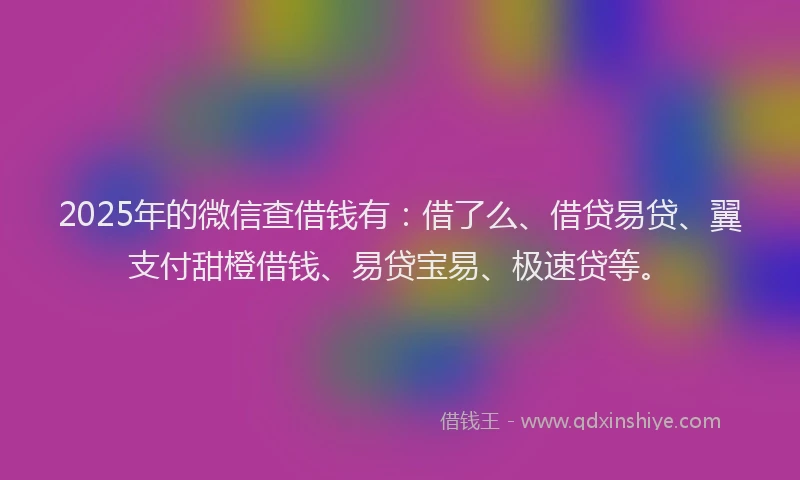 2025年的微信查借钱有：借了么、借贷易贷、翼支付甜橙借钱、易贷宝易、极速贷等。