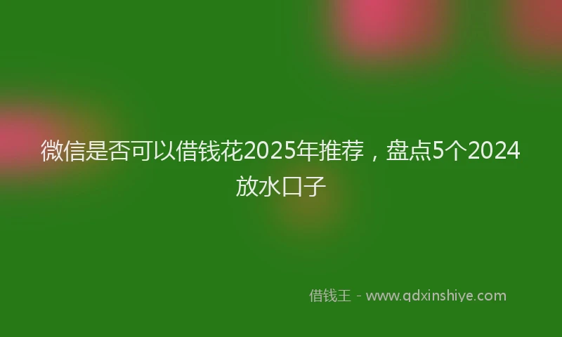 微信是否可以借钱花2025年推荐，盘点5个2024放水口子