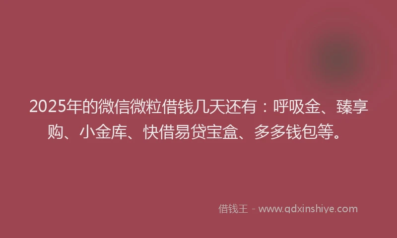 2025年的微信微粒借钱几天还有：呼吸金、臻享购、小金库、快借易贷宝盒、多多钱包等。