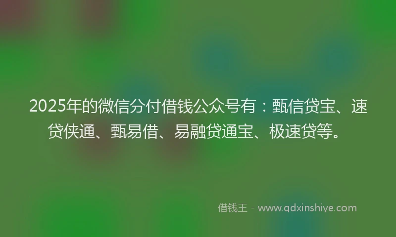 2025年的微信分付借钱公众号有：甄信贷宝、速贷侠通、甄易借、易融贷通宝、极速贷等。