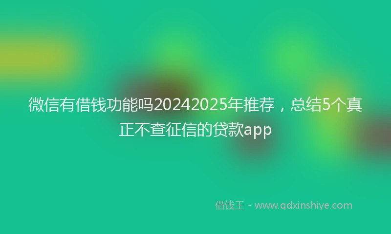 微信有借钱功能吗20242025年推荐，总结5个真正不查征信的贷款app