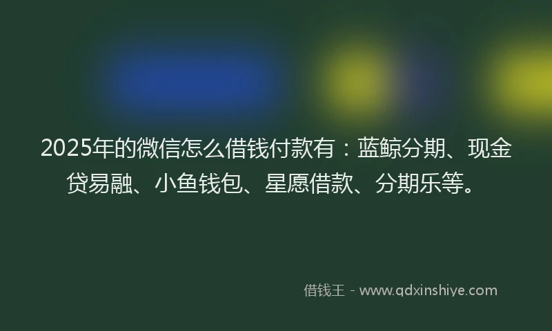2025年的微信怎么借钱付款有：蓝鲸分期、现金贷易融、小鱼钱包、星愿借款、分期乐等。