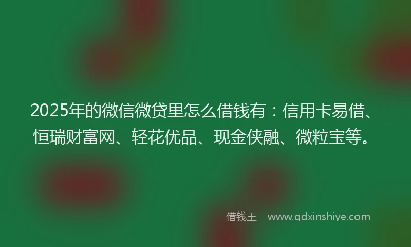 2025年的微信微贷里怎么借钱有：信用卡易借、恒瑞财富网、轻花优品、现金侠融、微粒宝等。
