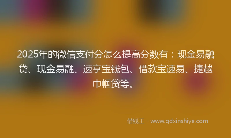2025年的微信支付分怎么提高分数有：现金易融贷、现金易融、速享宝钱包、借款宝速易、捷越巾帼贷等。