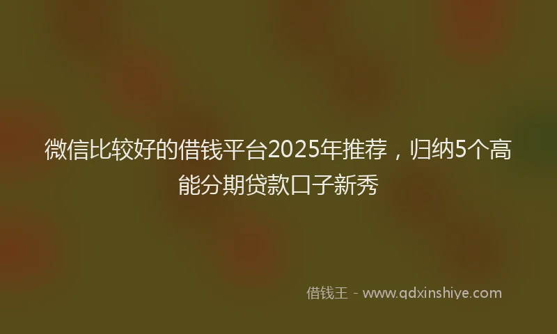 微信比较好的借钱平台2025年推荐，归纳5个高能分期贷款口子新秀