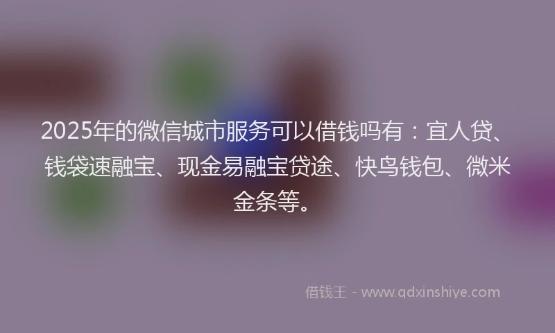 2025年的微信城市服务可以借钱吗有：宜人贷、钱袋速融宝、现金易融宝贷途、快鸟钱包、微米金条等。