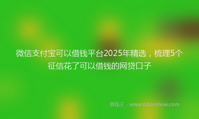 微信支付宝可以借钱平台2025年精选，梳理5个征信花了可以借钱的网贷口子
