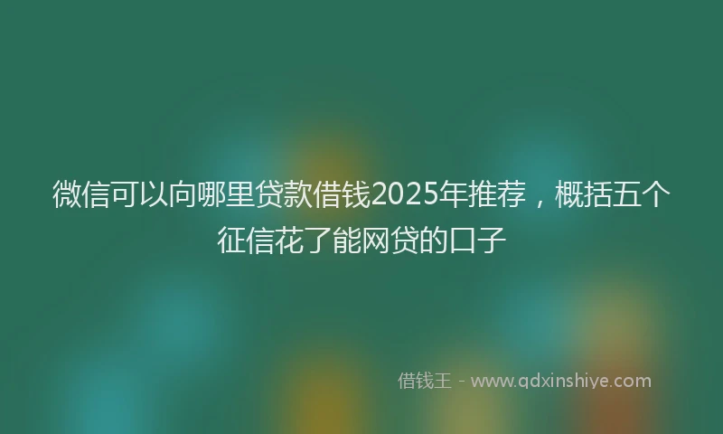 微信可以向哪里贷款借钱2025年推荐，概括五个征信花了能网贷的口子