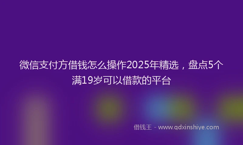 微信支付方借钱怎么操作2025年精选，盘点5个满19岁可以借款的平台