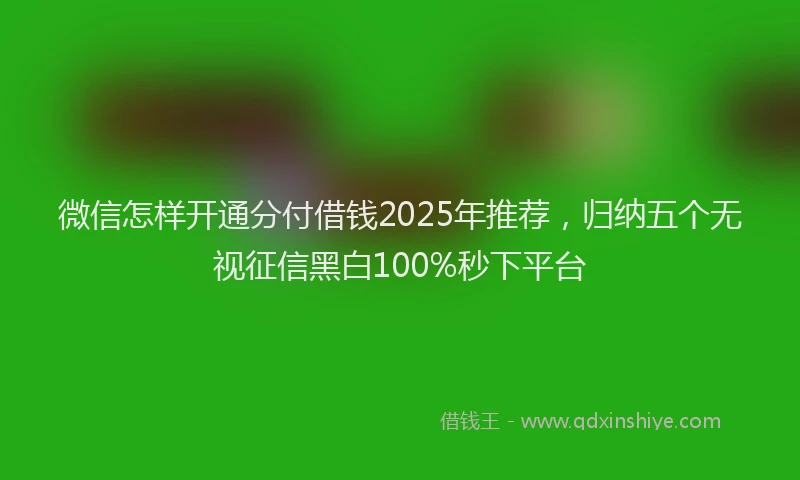 微信怎样开通分付借钱2025年推荐，归纳五个无视征信黑白100%秒下平台