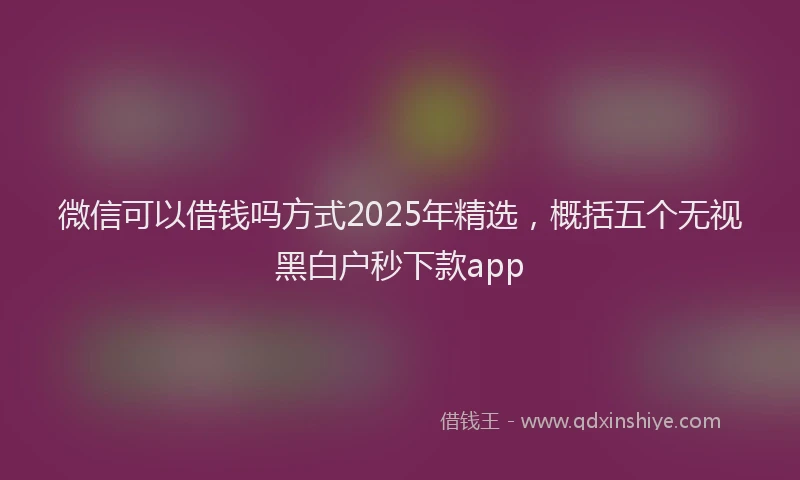 微信可以借钱吗方式2025年精选，概括五个无视黑白户秒下款app
