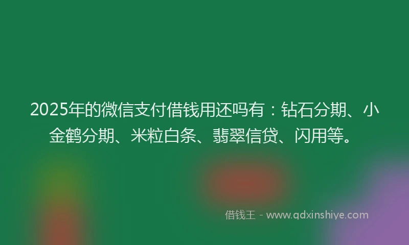 2025年的微信支付借钱用还吗有：钻石分期、小金鹤分期、米粒白条、翡翠信贷、闪用等。