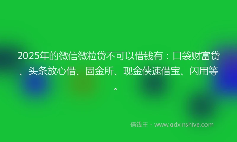 2025年的微信微粒贷不可以借钱有：口袋财富贷、头条放心借、固金所、现金侠速借宝、闪用等。