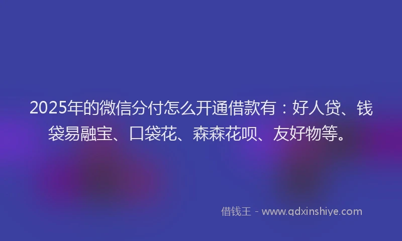 2025年的微信分付怎么开通借款有：好人贷、钱袋易融宝、口袋花、森森花呗、友好物等。