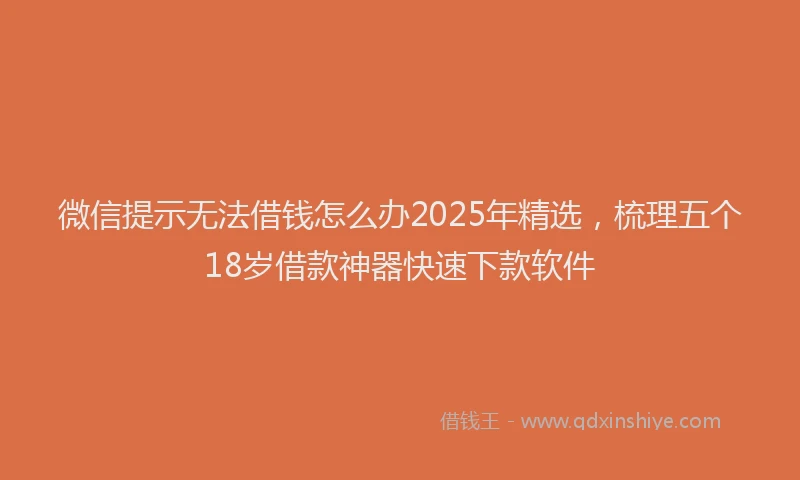微信提示无法借钱怎么办2025年精选，梳理五个18岁借款神器快速下款软件