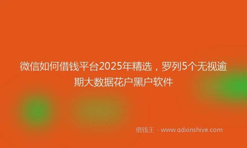微信如何借钱平台2025年精选，罗列5个无视逾期大数据花户黑户软件