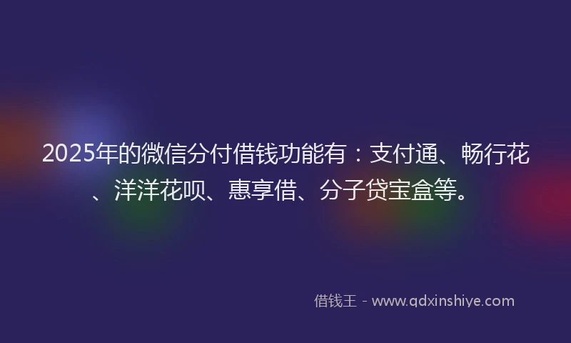 2025年的微信分付借钱功能有：支付通、畅行花、洋洋花呗、惠享借、分子贷宝盒等。