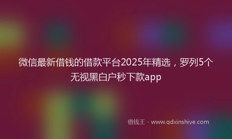 微信最新借钱的借款平台2025年精选，罗列5个无视黑白户秒下款app