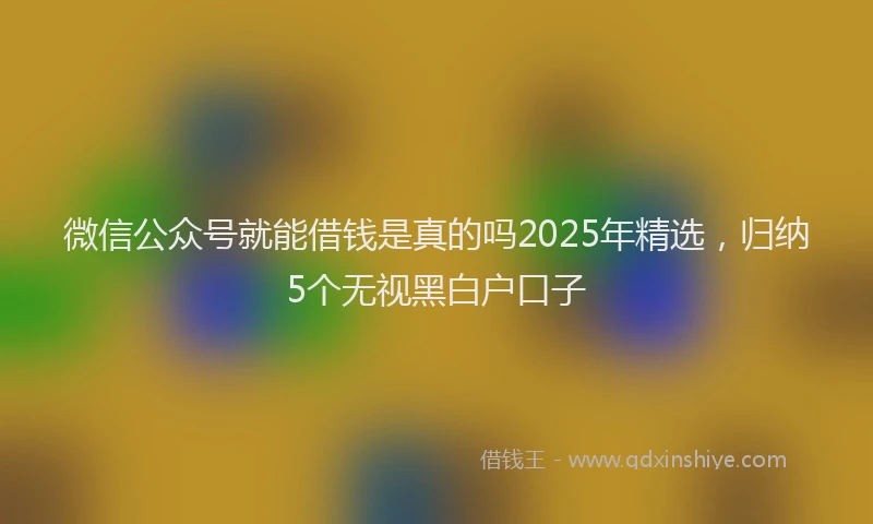 微信公众号就能借钱是真的吗2025年精选，归纳5个无视黑白户口子