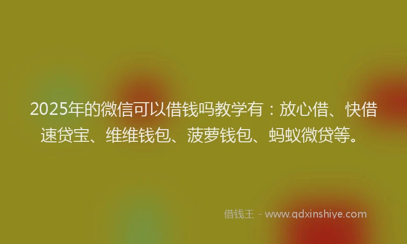 2025年的微信可以借钱吗教学有：放心借、快借速贷宝、维维钱包、菠萝钱包、蚂蚁微贷等。