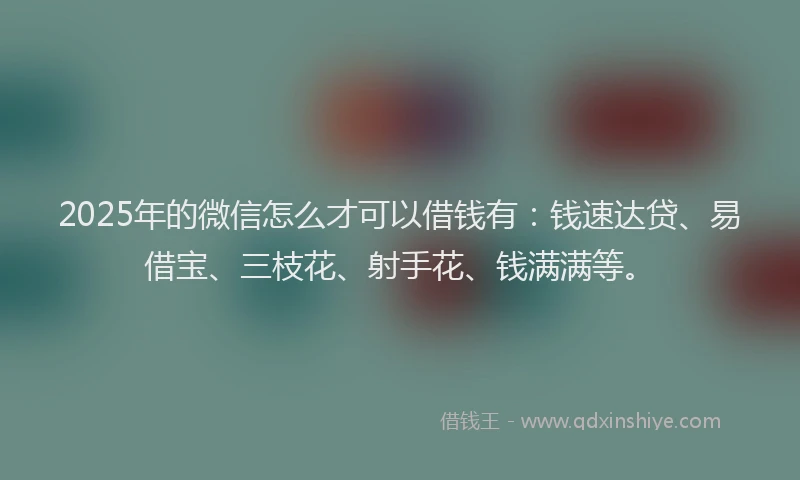 2025年的微信怎么才可以借钱有：钱速达贷、易借宝、三枝花、射手花、钱满满等。