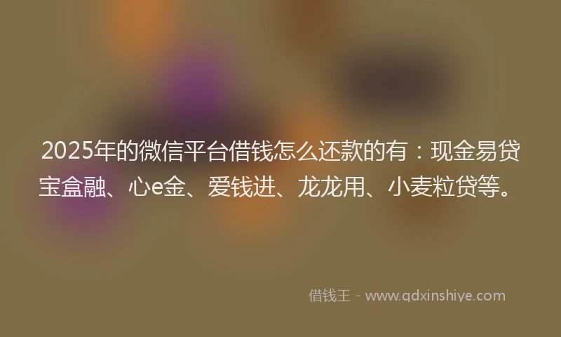 2025年的微信平台借钱怎么还款的有：现金易贷宝盒融、心e金、爱钱进、龙龙用、小麦粒贷等。