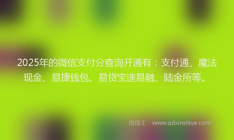 2025年的微信支付分查询开通有：支付通、魔法现金、易捷钱包、易贷宝速易融、陆金所等。