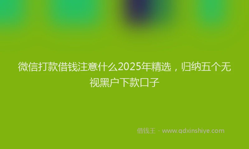 微信打款借钱注意什么2025年精选，归纳五个无视黑户下款口子