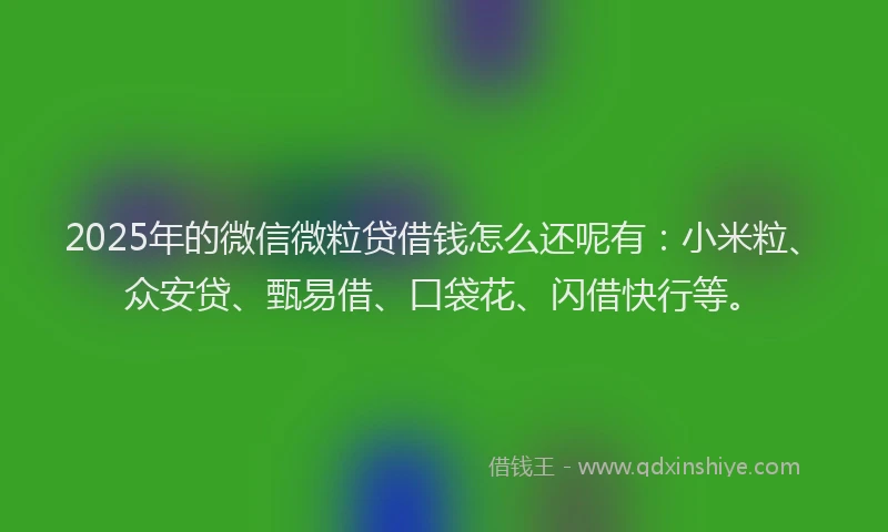 2025年的微信微粒贷借钱怎么还呢有：小米粒、众安贷、甄易借、口袋花、闪借快行等。