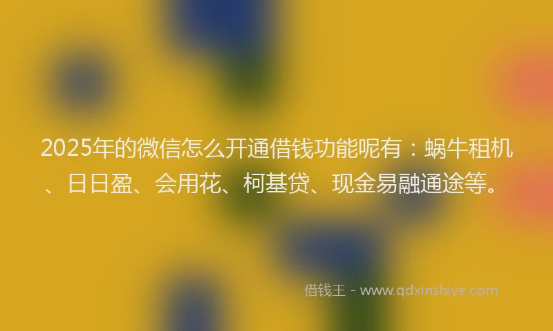 2025年的微信怎么开通借钱功能呢有：蜗牛租机、日日盈、会用花、柯基贷、现金易融通途等。