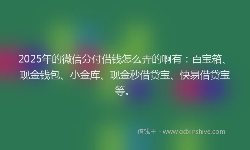 2025年的微信分付借钱怎么弄的啊有：百宝箱、现金钱包、小金库、现金秒借贷宝、快易借贷宝等。
