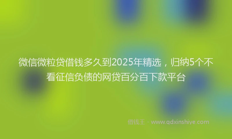 微信微粒贷借钱多久到2025年精选，归纳5个不看征信负债的网贷百分百下款平台