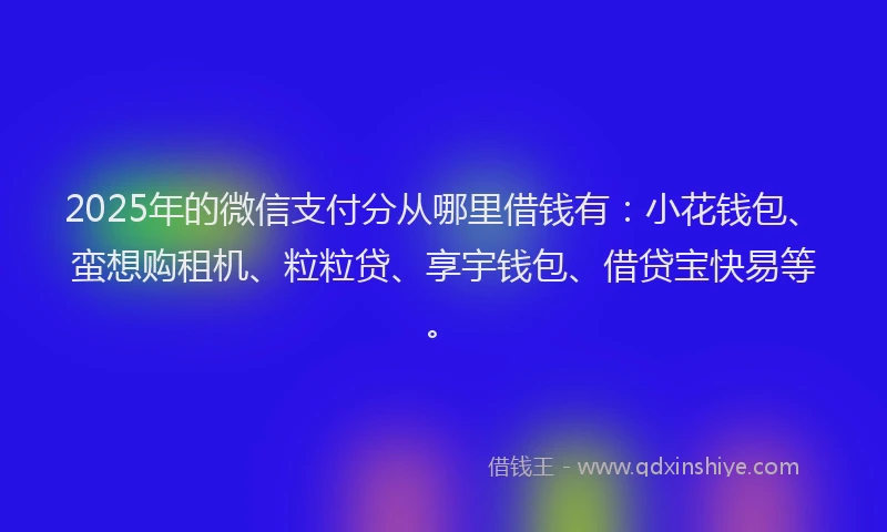 2025年的微信支付分从哪里借钱有：小花钱包、蛮想购租机、粒粒贷、享宇钱包、借贷宝快易等。