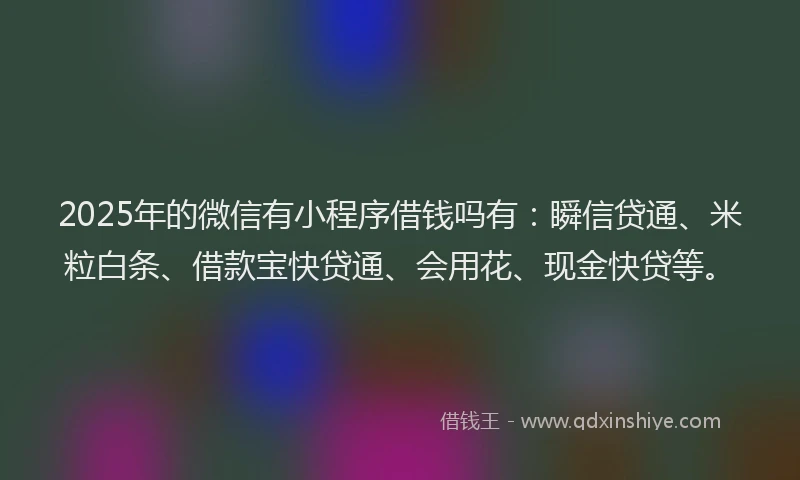 2025年的微信有小程序借钱吗有：瞬信贷通、米粒白条、借款宝快贷通、会用花、现金快贷等。