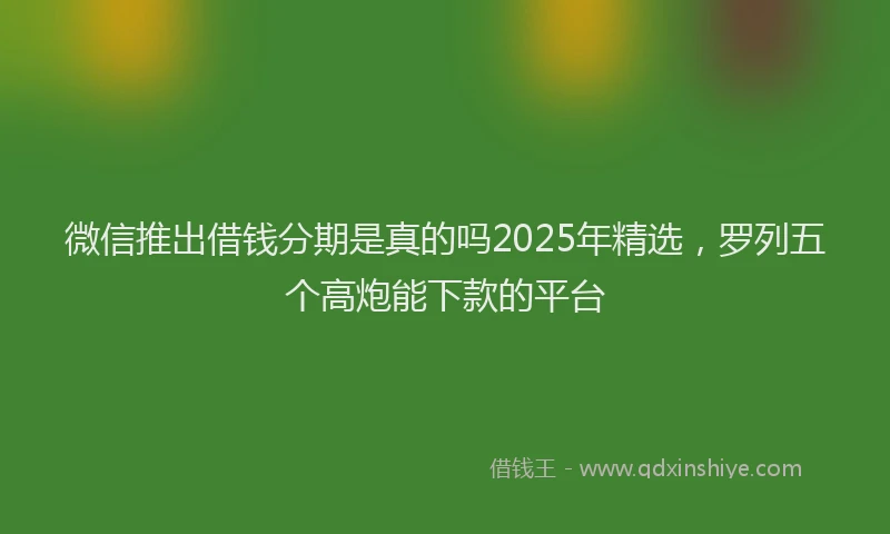 微信推出借钱分期是真的吗2025年精选，罗列五个高炮能下款的平台