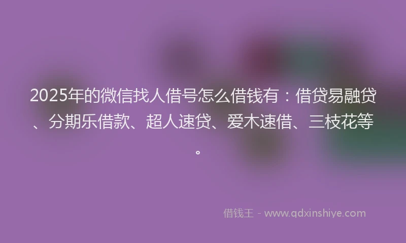2025年的微信找人借号怎么借钱有：借贷易融贷、分期乐借款、超人速贷、爱木速借、三枝花等。