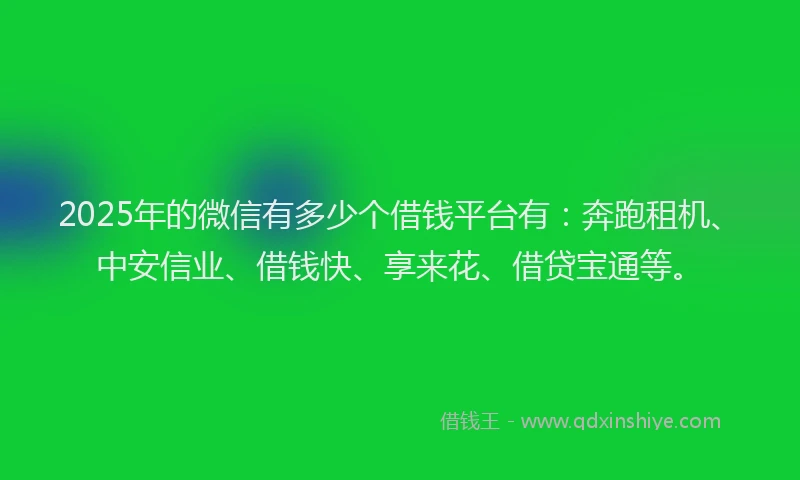 2025年的微信有多少个借钱平台有：奔跑租机、中安信业、借钱快、享来花、借贷宝通等。