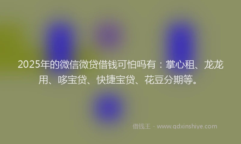 2025年的微信微贷借钱可怕吗有：掌心租、龙龙用、哆宝贷、快捷宝贷、花豆分期等。