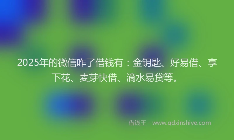 2025年的微信咋了借钱有：金钥匙、好易借、享下花、麦芽快借、滴水易贷等。
