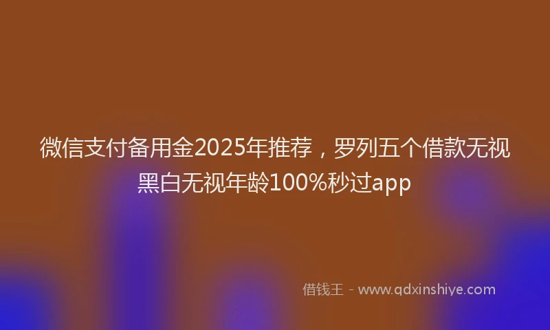 微信支付备用金2025年推荐，罗列五个借款无视黑白无视年龄100%秒过app