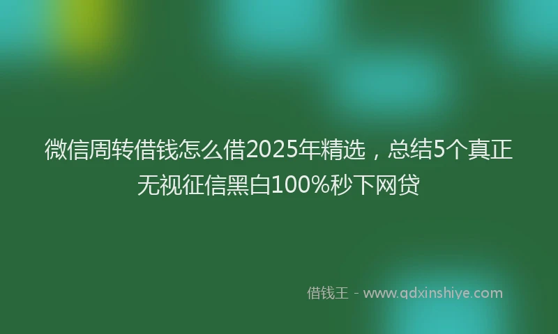 微信周转借钱怎么借2025年精选，总结5个真正无视征信黑白100%秒下网贷