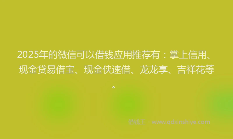 2025年的微信可以借钱应用推荐有：掌上信用、现金贷易借宝、现金侠速借、龙龙享、吉祥花等。