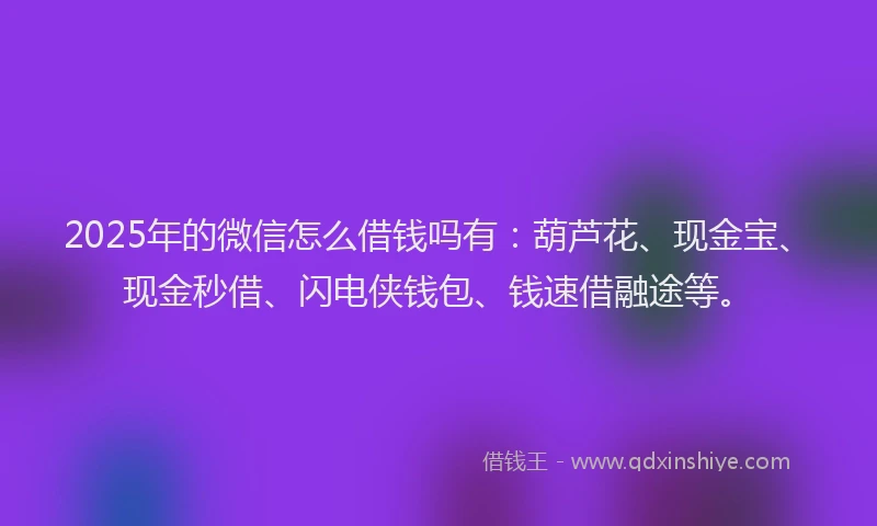 2025年的微信怎么借钱吗有：葫芦花、现金宝、现金秒借、闪电侠钱包、钱速借融途等。