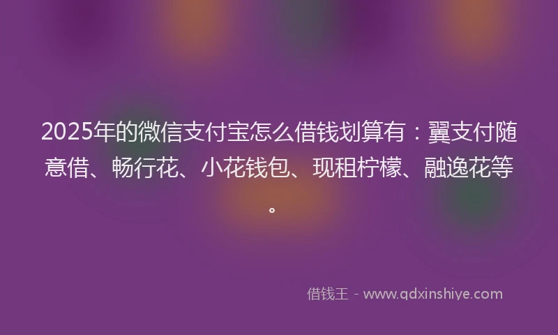2025年的微信支付宝怎么借钱划算有：翼支付随意借、畅行花、小花钱包、现租柠檬、融逸花等。