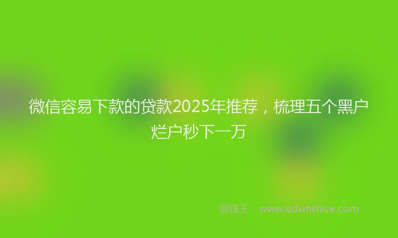 微信容易下款的贷款2025年推荐，梳理五个黑户烂户秒下一万