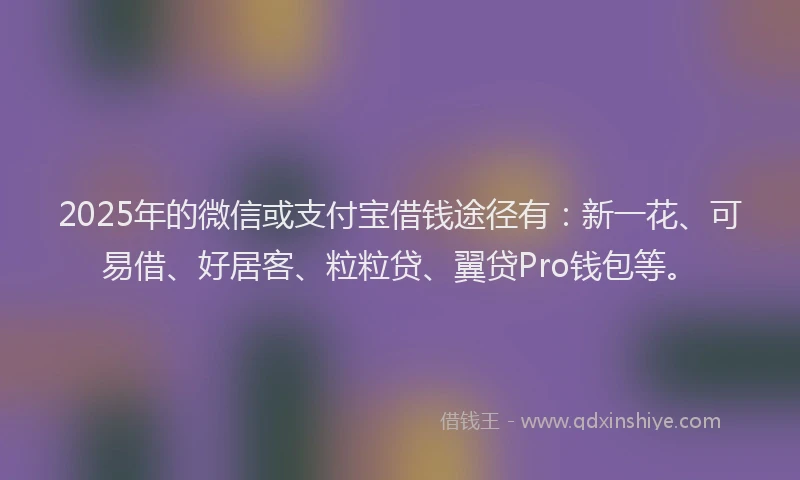 2025年的微信或支付宝借钱途径有：新一花、可易借、好居客、粒粒贷、翼贷Pro钱包等。