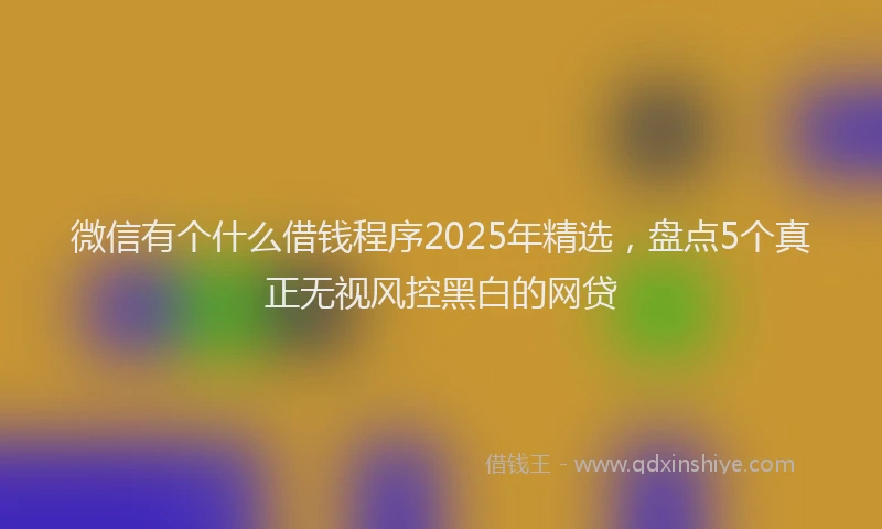 微信有个什么借钱程序2025年精选，盘点5个真正无视风控黑白的网贷