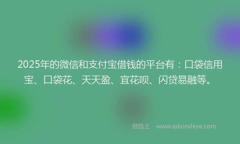 2025年的微信和支付宝借钱的平台有：口袋信用宝、口袋花、天天盈、宜花呗、闪贷易融等。