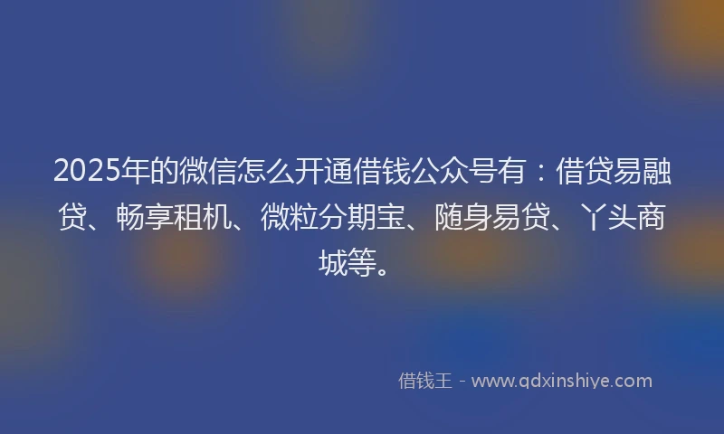 2025年的微信怎么开通借钱公众号有：借贷易融贷、畅享租机、微粒分期宝、随身易贷、丫头商城等。