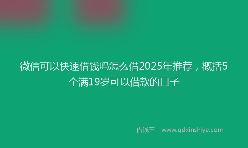 微信可以快速借钱吗怎么借2025年推荐，概括5个满19岁可以借款的口子